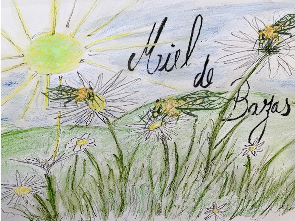 MIEL GIRONDE BAZAS ABEILLES BIO